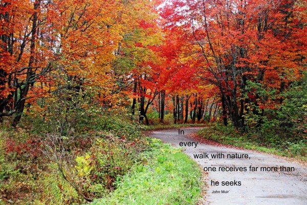Walk With Nature by Deb Oppermann